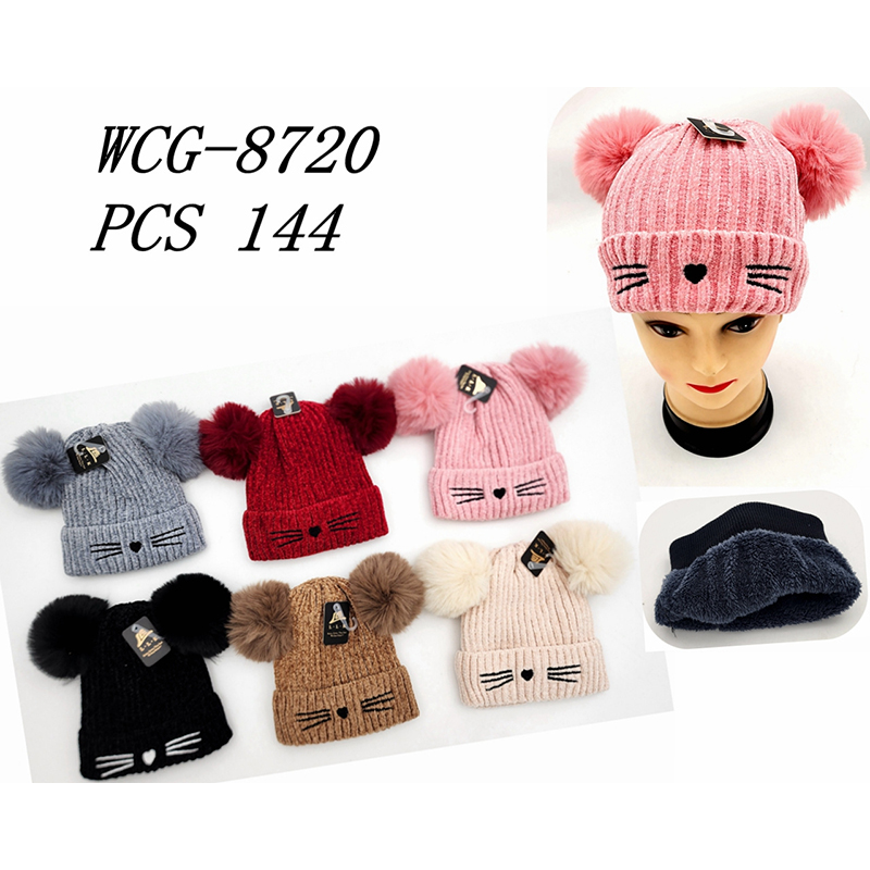 WCG-8720 CS144